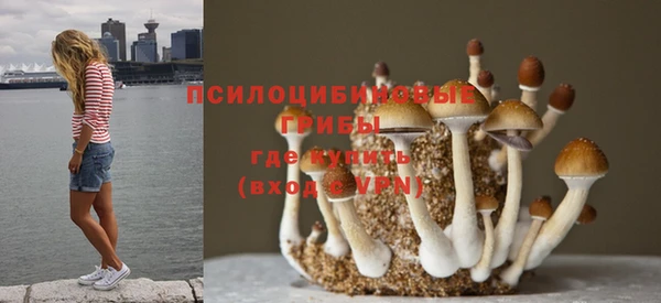 МДПВ Алзамай