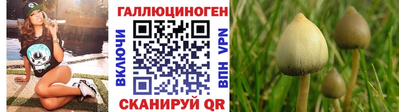 как найти наркотики  Солигалич  Псилоцибиновые грибы MAGIC MUSHROOMS 